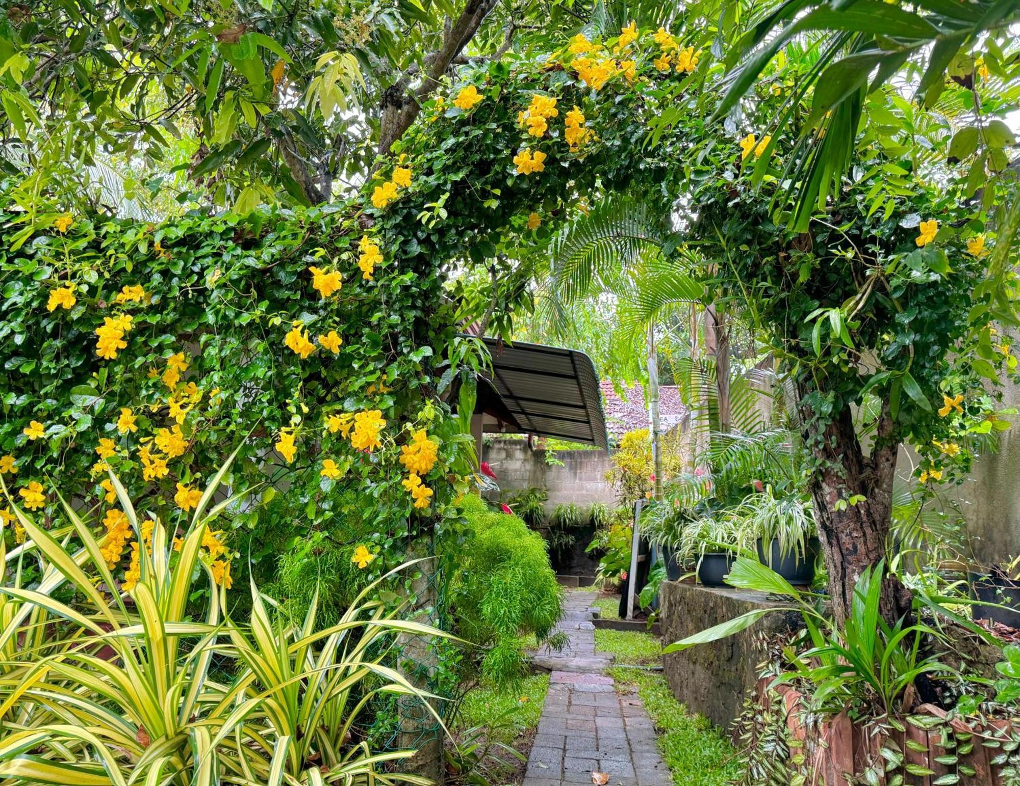 Nethmi Homestay & Restaurant Tangalle Luaran gambar