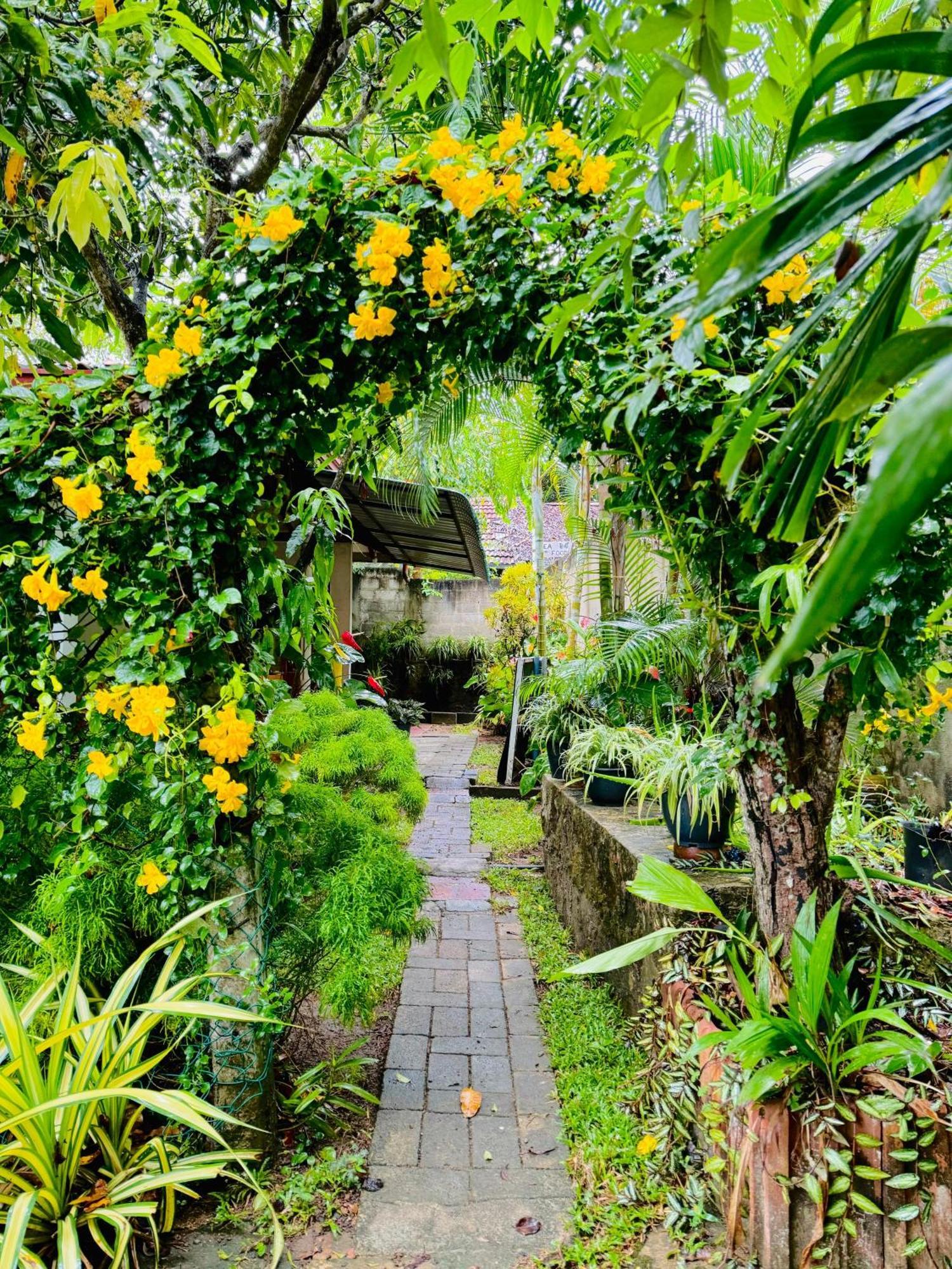 Nethmi Homestay & Restaurant Tangalle Luaran gambar