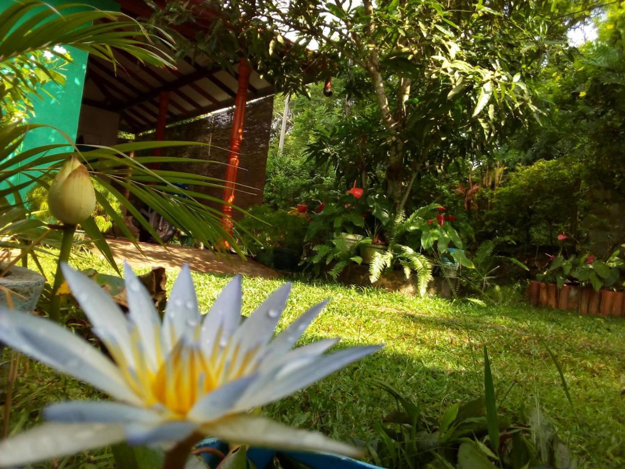 Nethmi Homestay & Restaurant Tangalle Luaran gambar
